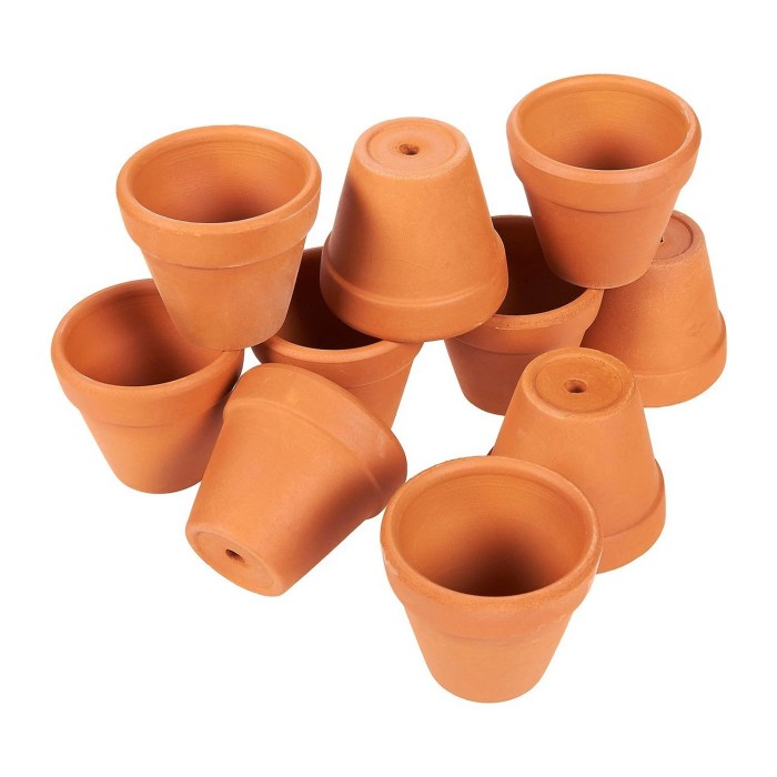 Mini terracotta plant pots