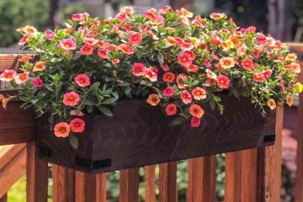 Deck rail plant pots