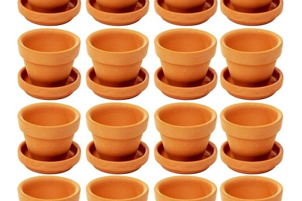 Mini terracotta plant pots