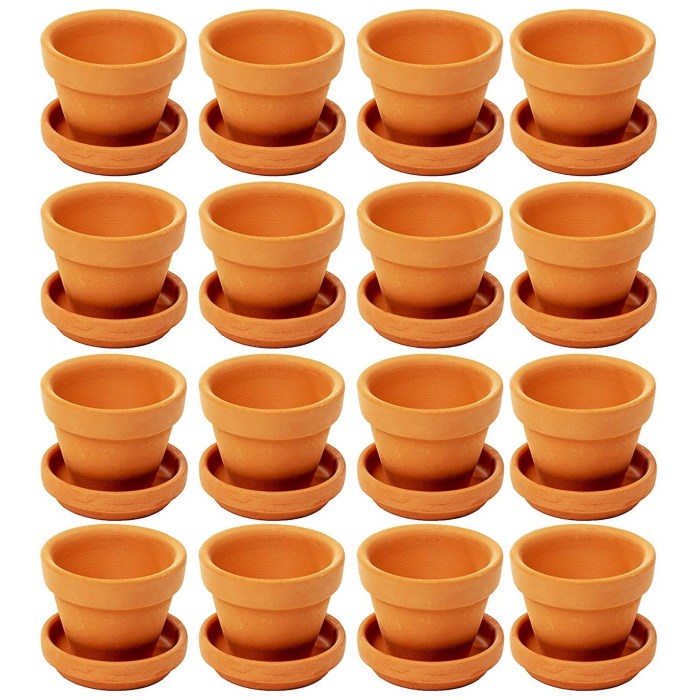 Mini terracotta plant pots